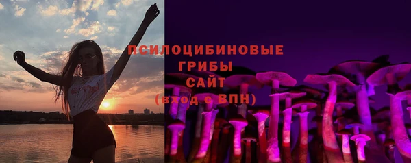 прущая мука Богородск