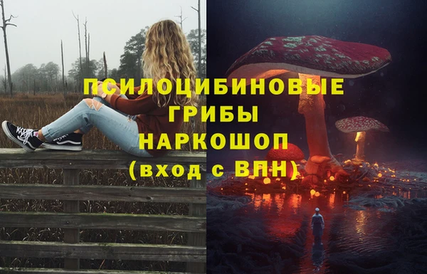 прущий лед Богданович